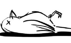 Featured image of post Mi-a murit păsărica!