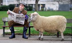 Featured image of post Taedium Vitae