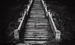 Featured image of post Încă o treaptă