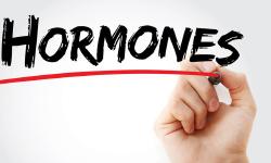 Featured image of post Opt săptămâni am fost femeie