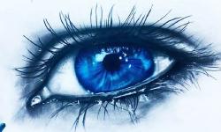 Featured image of post Două nuanțe de albastru