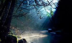 Featured image of post Băiatul și piatra albastră